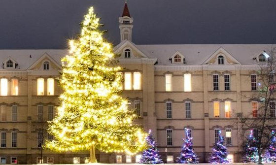 Commercial Christmas Decorations and Lights