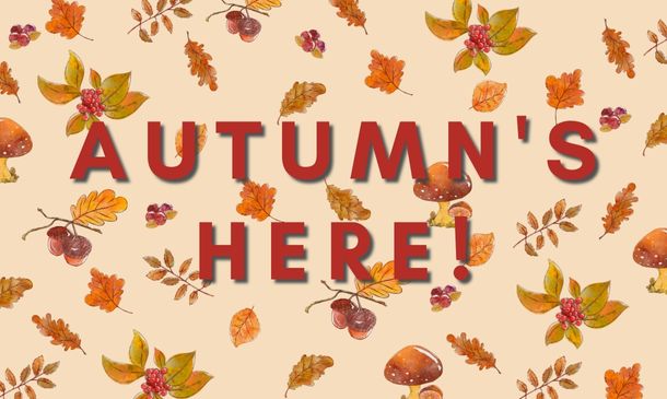 Autumn Is Here - Christmas Stock Has Arrived!