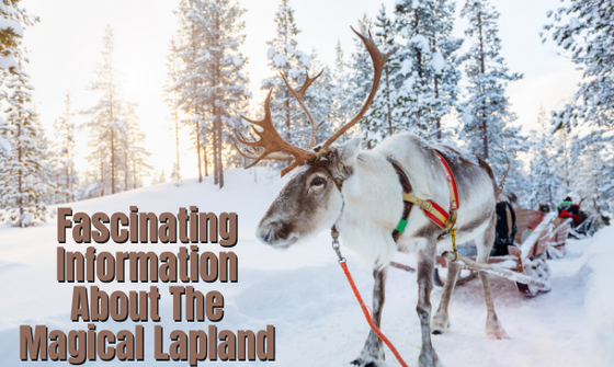 Fascinating Information About The Magical Lapland