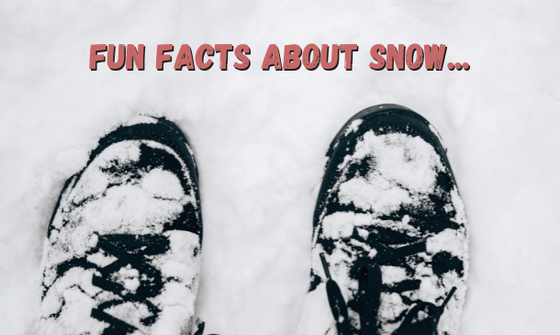 Fun Facts About Snow...