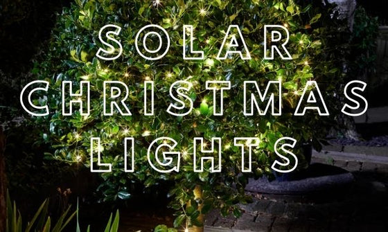 Solar Christmas Lights – The eco-friendly way to light up your Christmas!