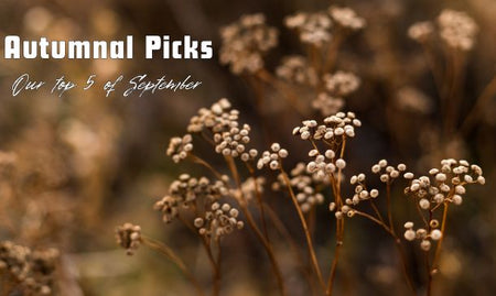 Top 5 Autumnal Picks of the Season