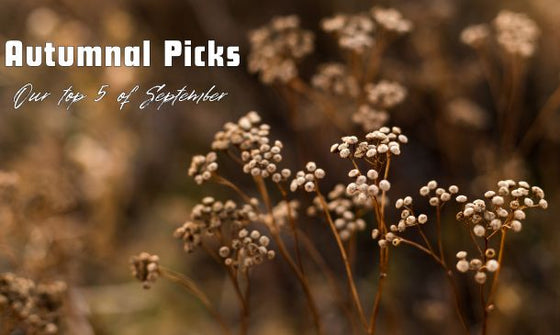 Top 5 Autumnal Picks of the Season