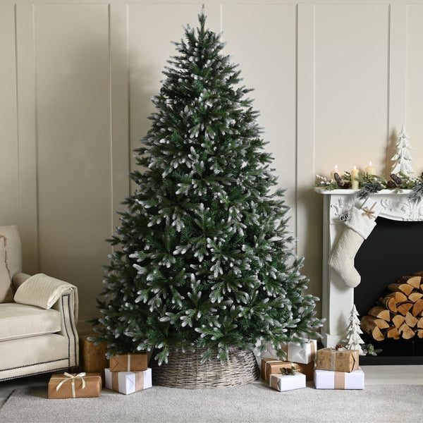 5ft Frosted Belvedere Pine Artificial Christmas Tree
