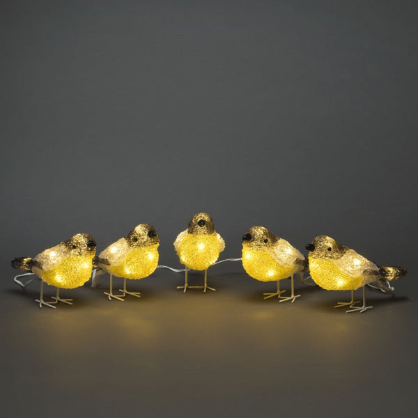Set of 5 LED Lit Acrylic Birds Christmas Display