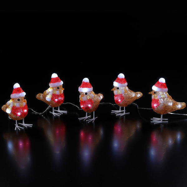 Set of 5 Festive Robins in Hats Acrylic Display with 40 White LEDs