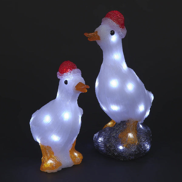Acrylic Santa Ducks Lit with 50 Warm White LEDs