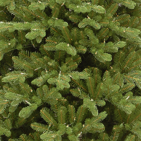 7.5 ft Pre Lit Bosworth Spruce Real Feel Artificial Christmas Tree with 800 Warm White LED's