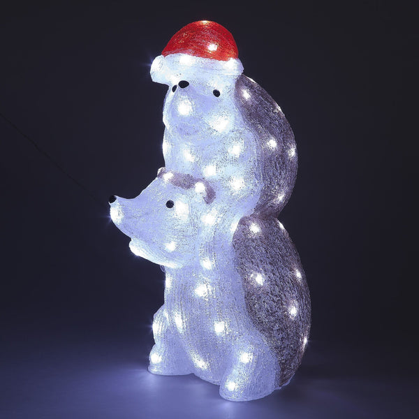 50cm Acrylic Hedgehog Duo Lit with 80 White LEDs