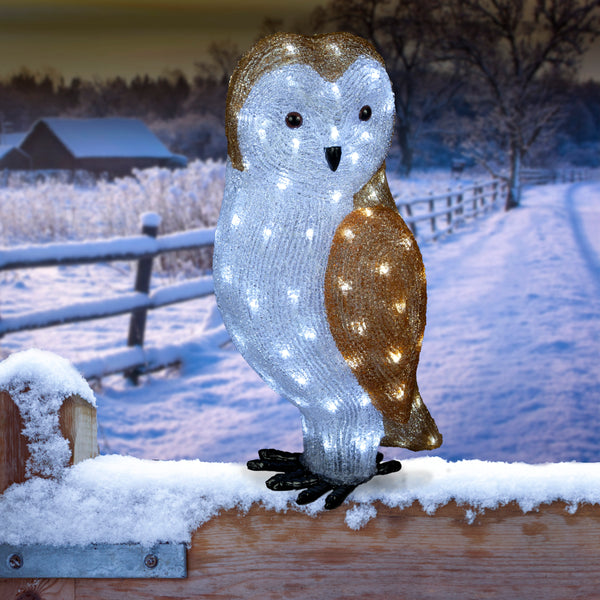56cm Acrylic Owl with 100 Ice White LEDs