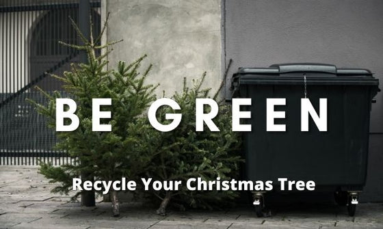Be Green & Recycle Your Christmas Tree