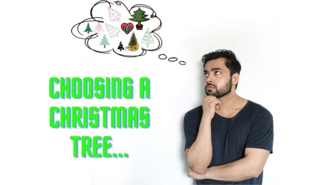 Choosing a Christmas Tree