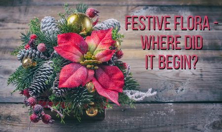 Festive Flora - Where Did It Begin?