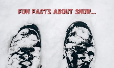 Fun Facts About Snow...