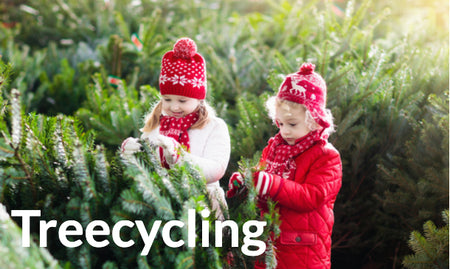Treecycling