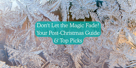 Don't Let the Magic Fade! Your Post-Christmas Guide & Top Picks