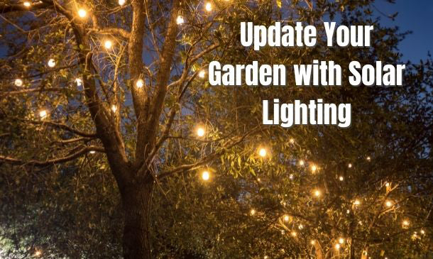Update Your Garden with Solar Lighting