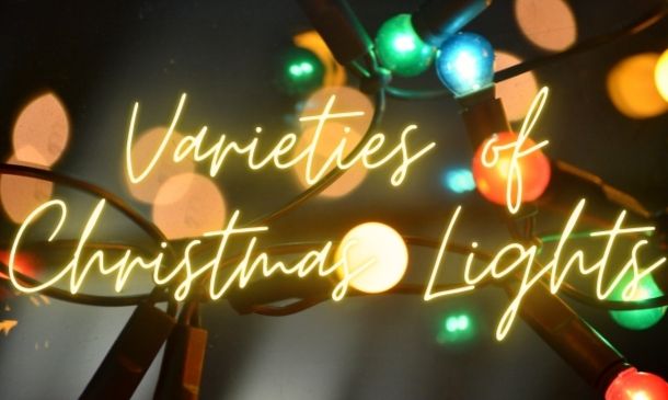 The Types and Varieties of Christmas Tree Lights