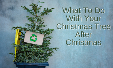 What To Do With Your Christmas Tree After Christmas