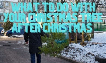 What to do With Your Christmas Tree After Christmas