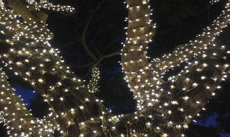 What are the Best Lights for Outside Your Home?