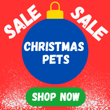 Christmas Pets Sale