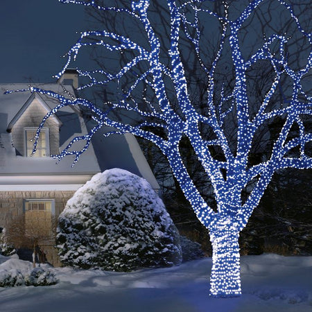 Blue Christmas Lights