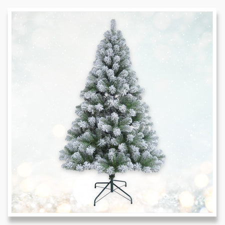 6ft Christmas Treees