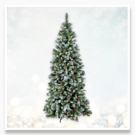 8ft - 9ft Christmas Trees