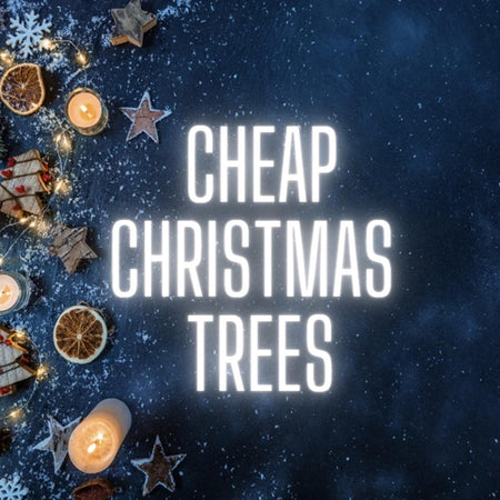 Cheap Christmas Trees