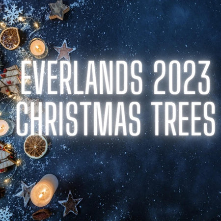 Everland Christmas Trees 2023