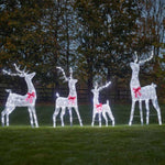 1m Silver Twist Twinkling Reindeer Christmas Silhouette