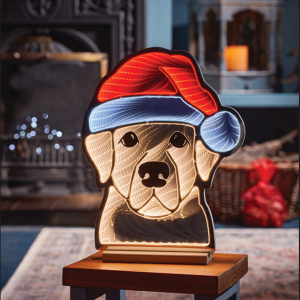 40cm Dog in Santa Hat Christmas Infinity Light