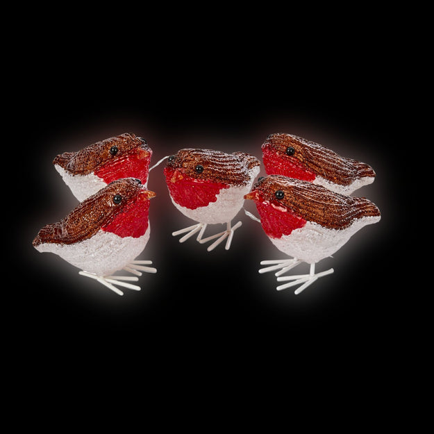 Set of Five Festive Robins Christmas Acrylic Lights