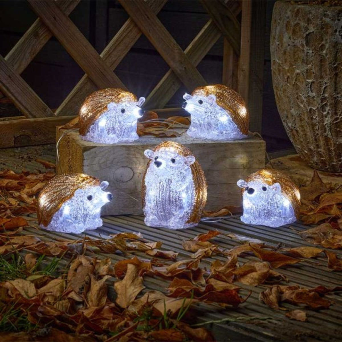 Set of Five Festive Hedgehogs Christmas Acrylic Lights