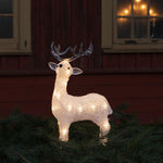 Acrylic Reindeer with 24 White LED's