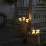 Set of 5 Clear Acrylic Pigs Lit with 40 Warm White LEDs