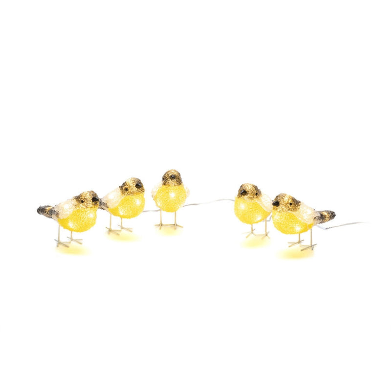 Set of 5 LED Lit Acrylic Birds Christmas Display