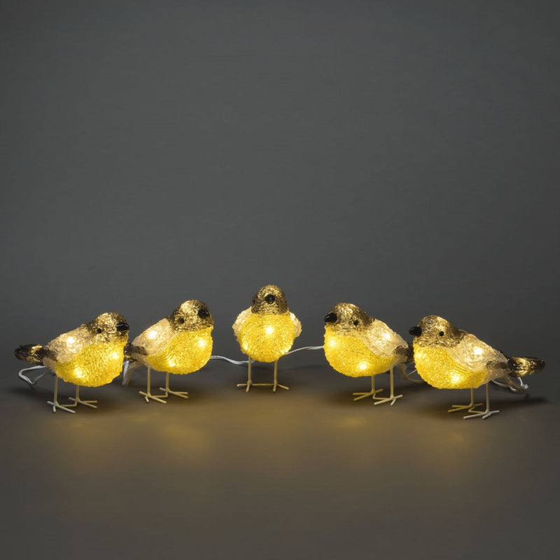 Set of 5 LED Lit Acrylic Birds Christmas Display