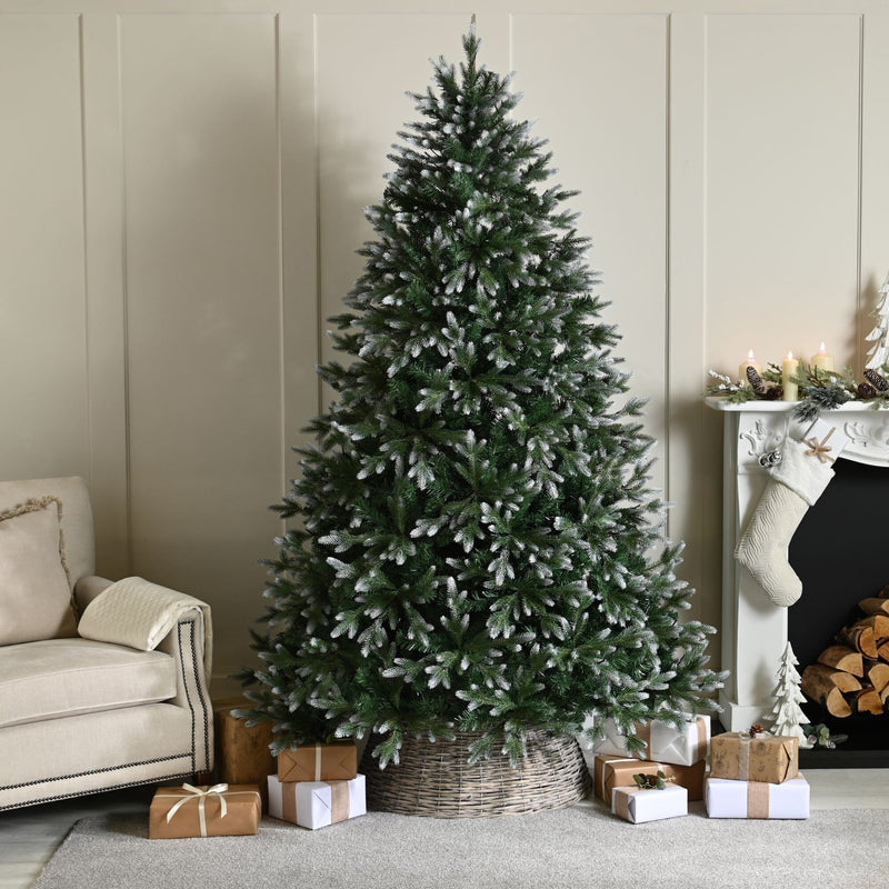 7ft Frosted Belvedere Pine Artificial Christmas Tree
