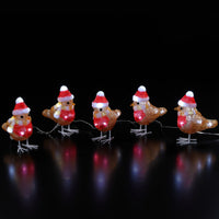Set of 5 Festive Robins in Hats Acrylic Display with 40 White LEDs