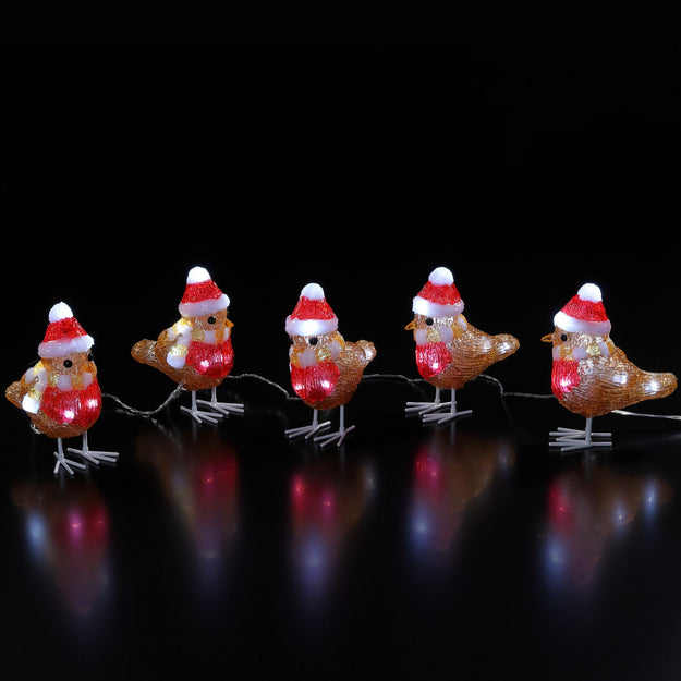 Set of 5 Festive Robins in Hats Acrylic Display with 40 White LEDs