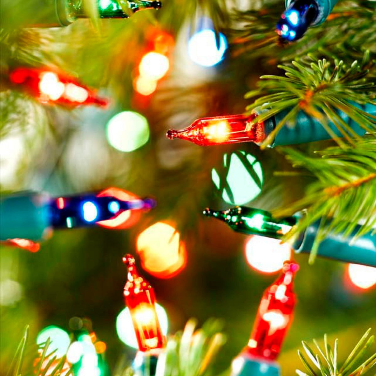 120 Classic Traditional Multi Colour Mini String Fairy Lights with Green Cable