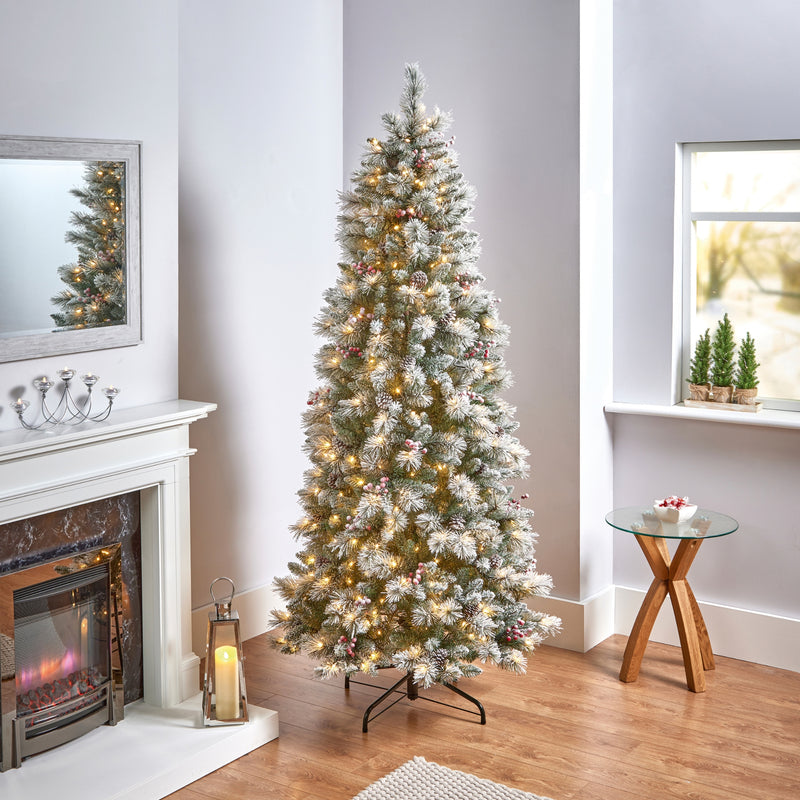 6.5ft Pre Lit Frosted Calgary Pine Tree with 400 Warm White LEDs