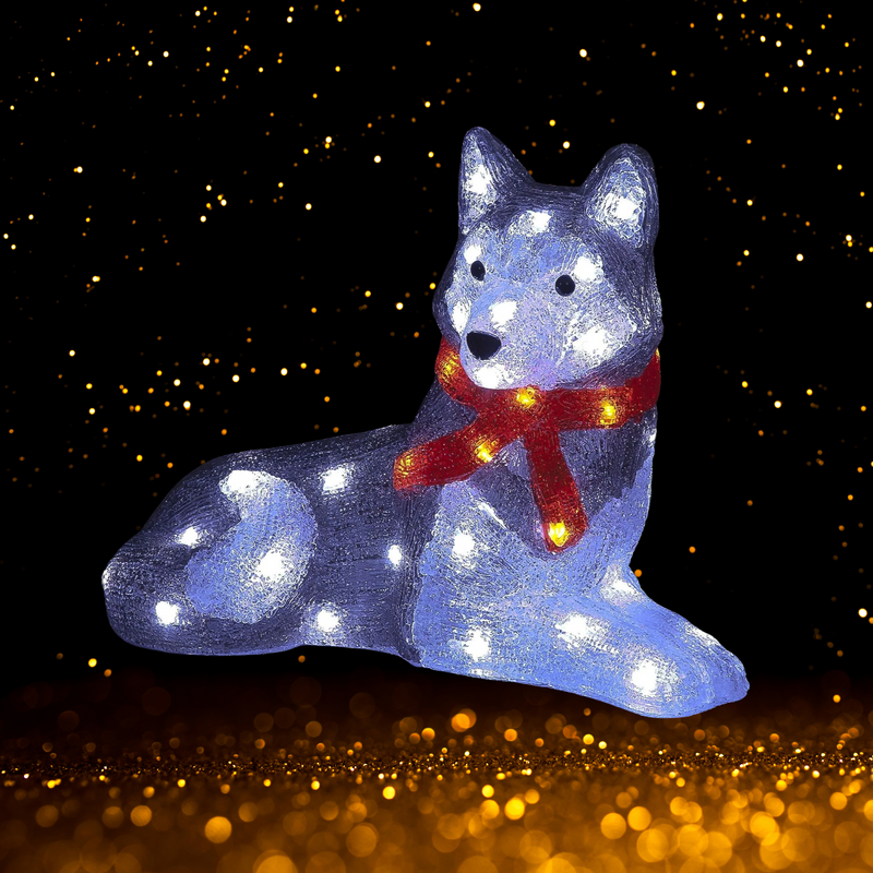 36cm Acrylic Husky with Scarf Lit with 60 White LEDs