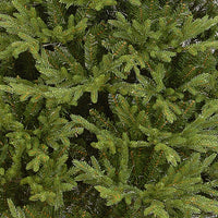 7ft Bedminster Fir Luxury Real Feel Artificial Christmas Tree - 3