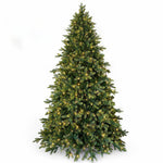 7.5ft Lawrence Fir Luxury Pre Lit with 800 Warm White LEDs Artificial Christmas Tree