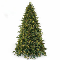 7.5ft Lawrence Fir Luxury Pre Lit with 800 Warm White LEDs Artificial Christmas Tree