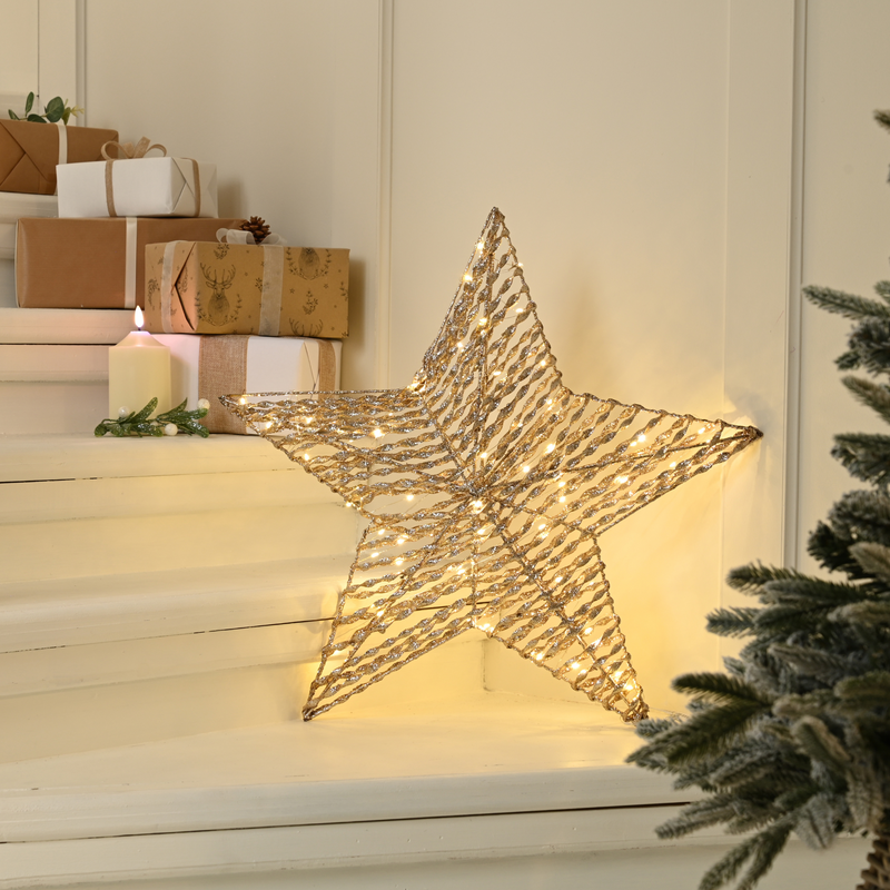 60cm Battery Powered Champagne Gold Star with 60 Warm White LED's