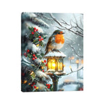 40cm Battery Operated Robin Christmas Design Fibre Optic Canvas